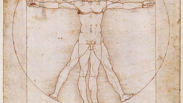 The Vitruvian Man, Da Vinci. Picture: Wikimedia Commons. Public Domain
