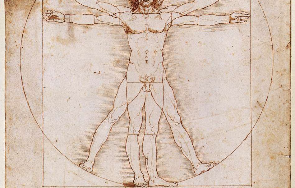 The Vitruvian Man, Da Vinci. Picture: Wikimedia Commons. Public Domain